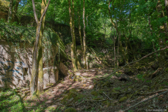 FortDriantPrintemps024