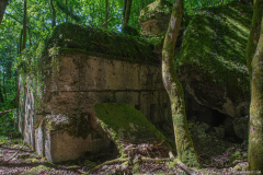 FortDriantPrintemps026