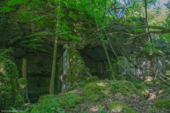 FortDriantPrintemps027