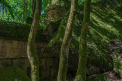 FortDriantPrintemps028