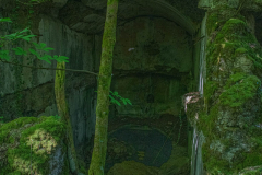 FortDriantPrintemps029