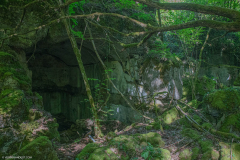 FortDriantPrintemps030