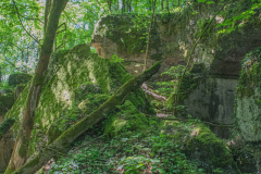 FortDriantPrintemps033