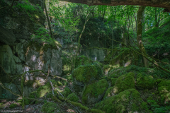 FortDriantPrintemps034