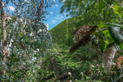 FracLorraineJardin001