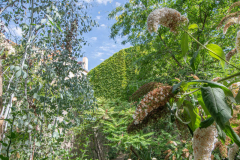 FracLorraineJardin002