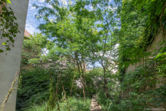 FracLorraineJardin006