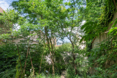 FracLorraineJardin008