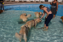 GoldenPiscine2023a