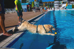 GoldenPiscine2023e