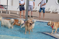 GoldenPiscine2024_002