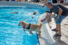 GoldenPiscine2024_003