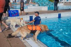 GoldenPiscine2024_005