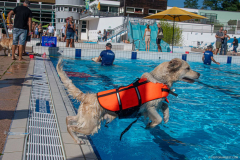 GoldenPiscine2024_015