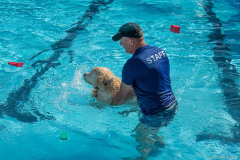 GoldenPiscine2024_017