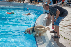 GoldenPiscine2024_024