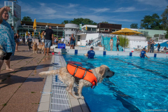 GoldenPiscine2024_025