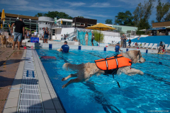 GoldenPiscine2024_026