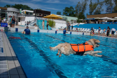 GoldenPiscine2024_027