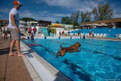 GoldenPiscine2024_029