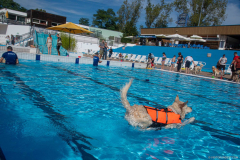 GoldenPiscine2024_030