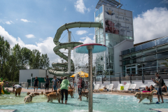 PiscineGolden038
