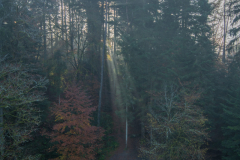 GorgersCroseryAutomne006