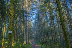 GorgersCroseryAutomne007