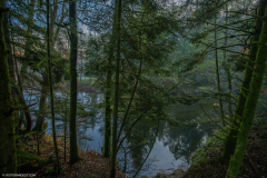 GorgersCroseryAutomne009