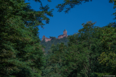 HautKoenigsbourg002