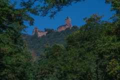 HautKoenigsbourg003