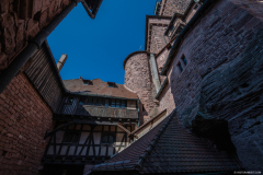 HautKoenigsbourg009