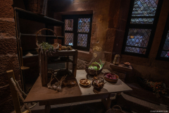 HautKoenigsbourg017