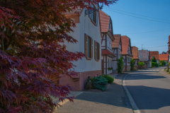 Hunspach007