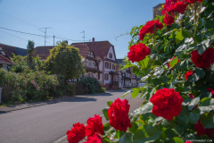 Hunspach026