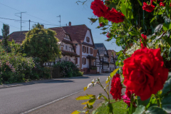 Hunspach029