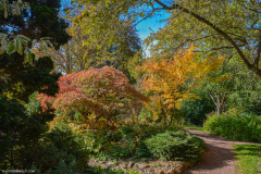 JardinBotaniqueAutomne003