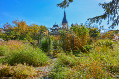 JardinBotaniqueAutomne005