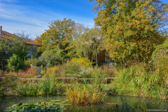JardinBotaniqueAutomne006