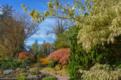 JardinBotaniqueAutomne008