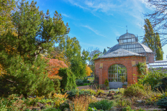 JardinBotaniqueAutomne012