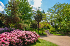 BotaniquePrintemps003