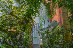 SerreBotanique001