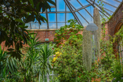 SerreBotanique002