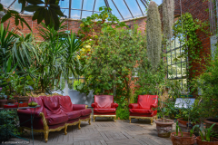 SerreBotanique004