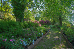 JardindeCallunes002