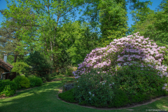 JardindeCallunes003