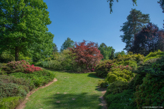 JardindeCallunes004