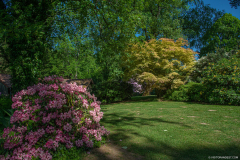 JardindeCallunes005