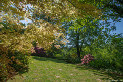 JardindeCallunes006